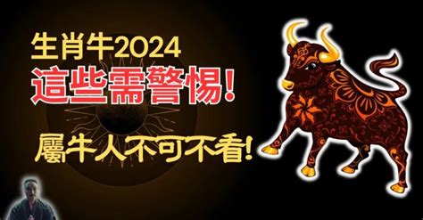 丙辰龍2024|2024龍年運勢大揭密！12生肖好運全攻略，事業、感情、財運一。